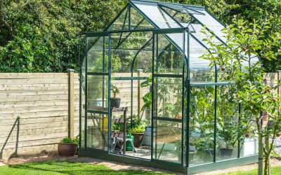 Greenhouse Glass – Everything You Need to Know